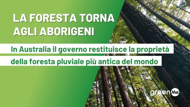 La foresta torna agli aborigeni, In Australia il governo restituisce la proprietà della foresta pluviale più antica del mondo