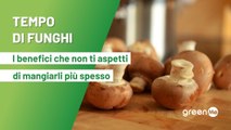 Tempo di funghi: i benefici che non ti aspetti di mangiarli più spesso