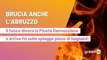 Brucia anche l’Abruzzo, il fuoco divora la Pineta Dannunziana di Pescara e arriva fin sulle spiagge piene di bagnanti