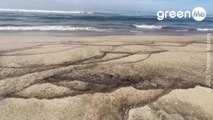 Marea nera in California: fuoriusciti 500mila litri di petrolio. Chiazza di 30 km quadrati