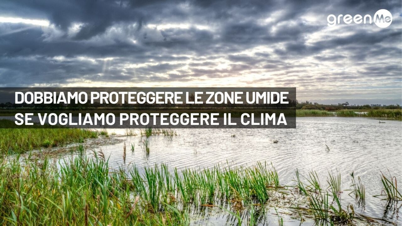 Dobbiamo salvare le zone umide se vogliamo salvare il clima