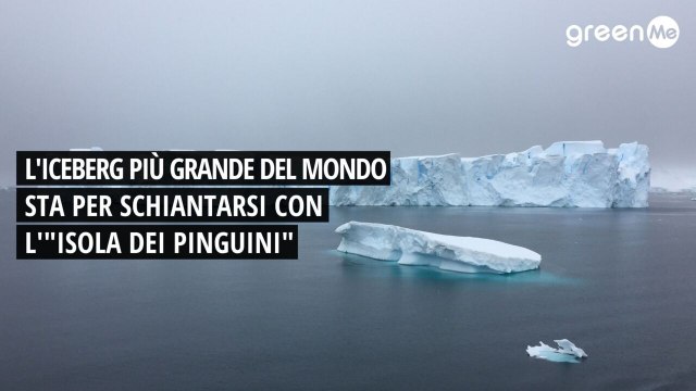 L'iceberg più grande del mondo sta per schiantarsi con l' Isola dei Pinguini
