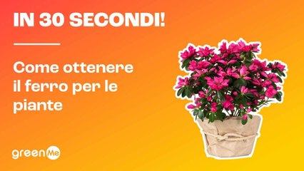In 30 secondi! Come ottenere il ferro per le piante