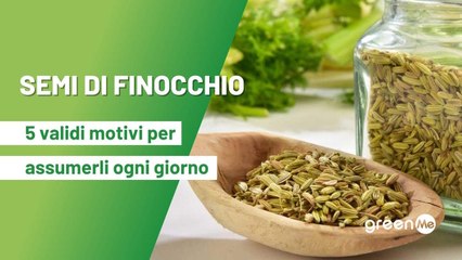 Semi di finocchio: 5 motivi per assumerli ogni giorno