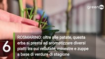 Le migliori 10 erbe aromatiche che non possono mancare in cucina