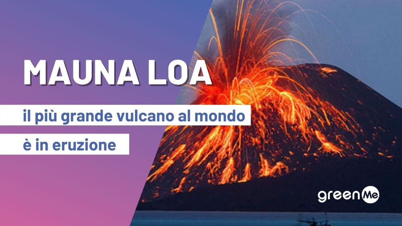 Mauna Loa, il vulcano attivo più grande del mondo è in eruzione