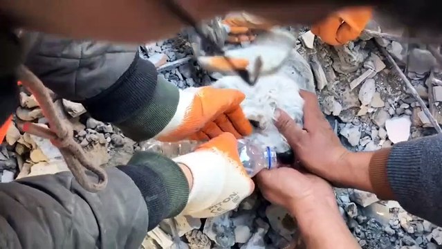 Así fue el rescate de un perro atrapado entre los escombros de un edificio en Turquía