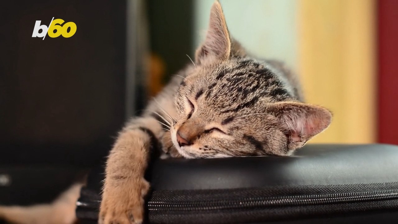 How to Make Your Weekend Last Longer: Practical Tips