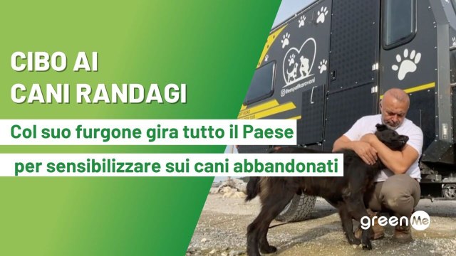 Cibo ai cani randagi. Col suo furgone gira tutto il Paese per combattere e sensibilizzare sui cani abbandonati