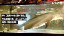 Un delfino robot per sostituire quelli veri nei delfinari