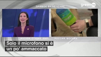 Golden Retriever ruba il microfono alla giornalista in diretta tv