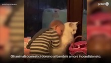 I benefici degli animali sui bambini