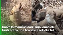Salva la mamma con i suoi cuccioli finiti sotto una frana e li adotta tutti