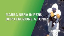 Marea Nera in Perù dopo eruzione a Tonga