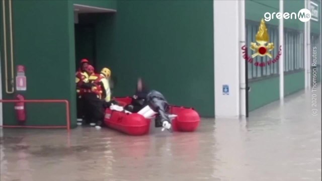 Vigili del fuoco salvano cani in Emilia Romagna