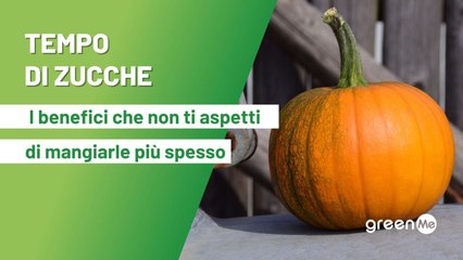Tempo di zucche, i benefici che non ti aspetti di mangiarle più spesso