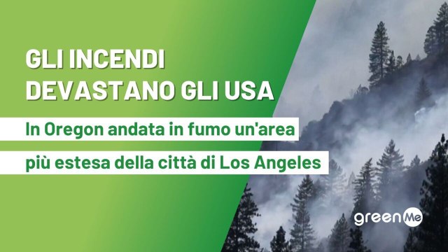 Gli incendi devastano gli USA In Oregon andata in fumo un’area più estesa della città di Los Angeles
