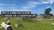 Orto 2.0: a Roma puoi coltivare le verdure con lo smartphone