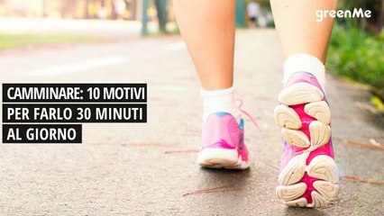 10 Motivations to Start Walking 🚶‍♂️