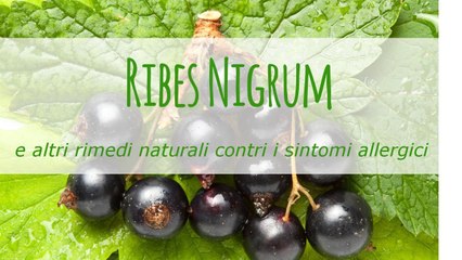 Ribes nigrum e altri rimedi naturali contri i sintomi allergici