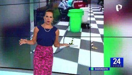 Breña: Hospital del Niño se queda sin agua