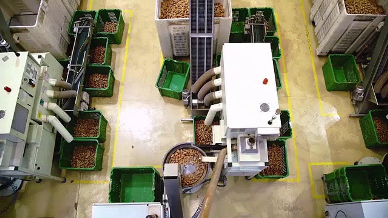 How It-s Made Wine Cork - Harvesting 50 Million Cork Wine and Making ...