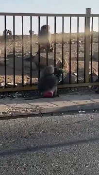 تكتيك جديد لـ البابون .. أمين عسير يرد على مهاجمة القرود له: اخترتم الشخص الغلط