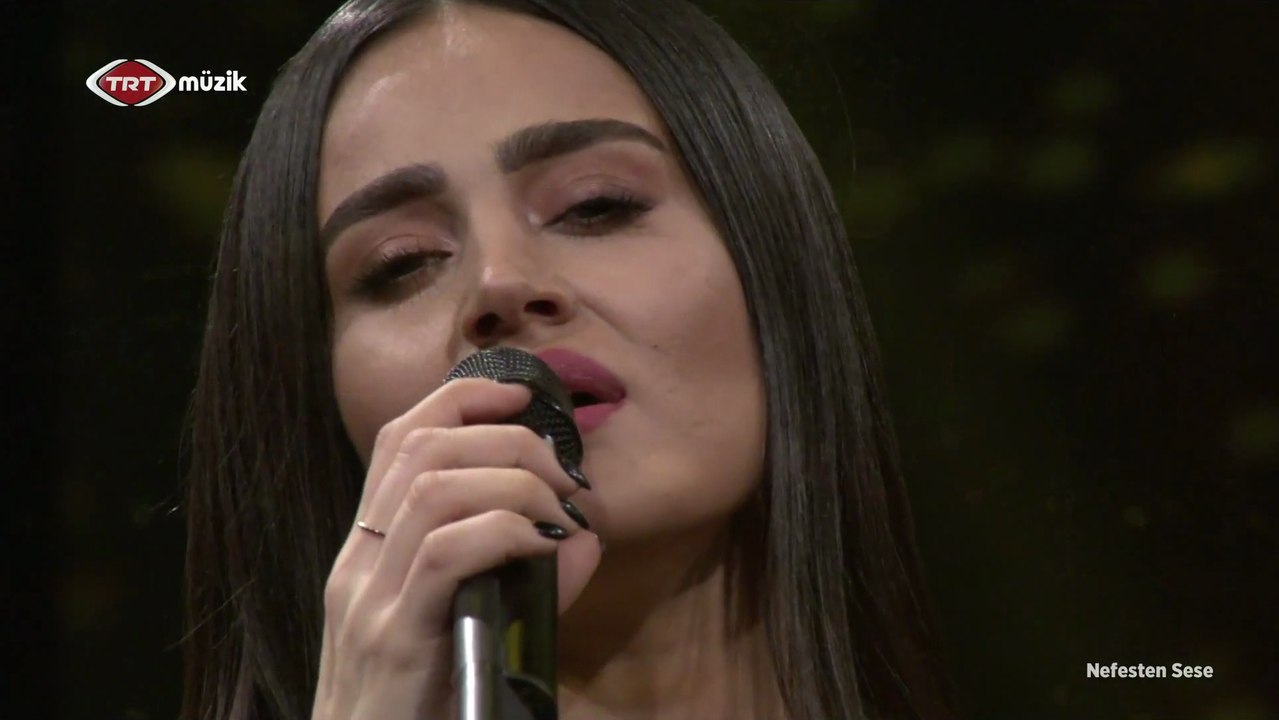 Elif Buse Doğan / Ayşemin yeşil sandığı