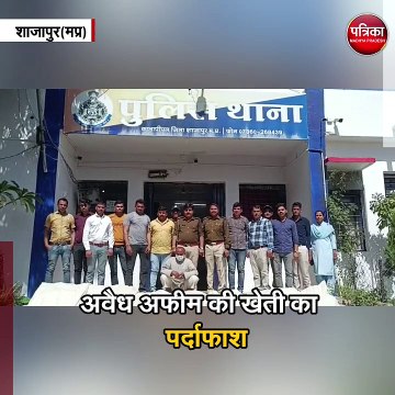 225 किलो के 3564 अफीम के पौधे जब्त