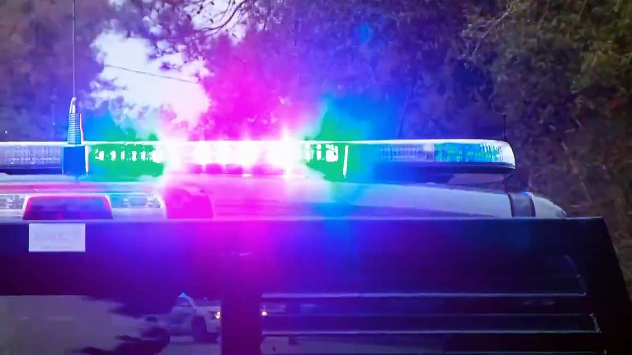 Lone Star Law - Se9 - Ep03 - Garage Gator HD Watch