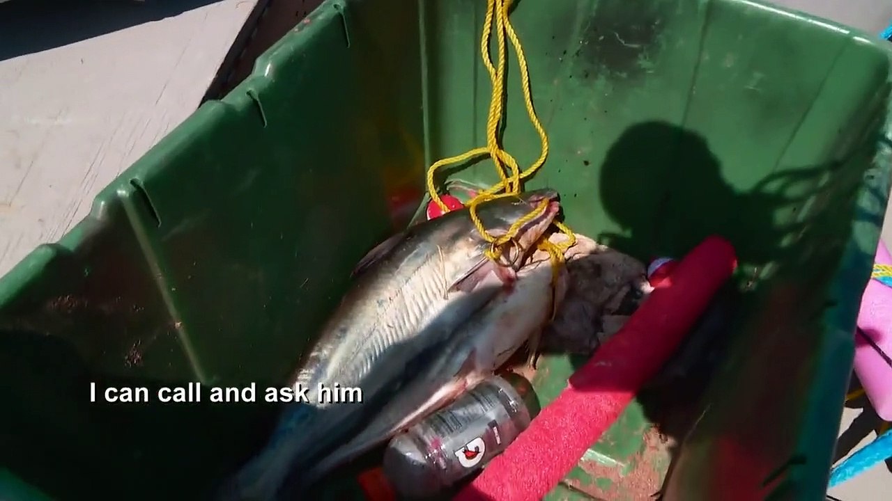 Lone Star Law - Se9 - Ep08 HD Watch