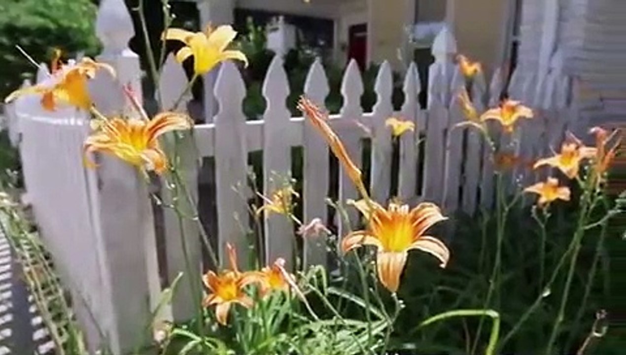 Good Bones - Se6 - Ep05 HD Watch