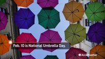 National Umbrella Day: Fun facts about umbrellas