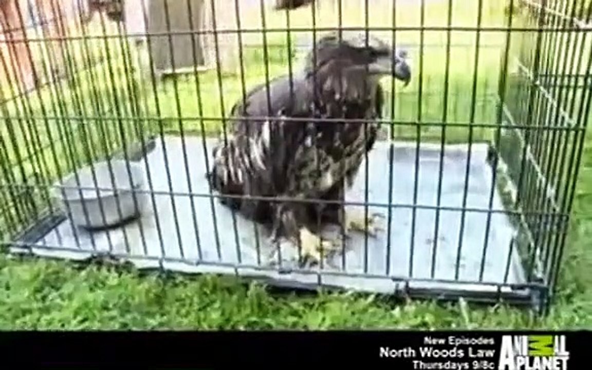 North Woods Law - Se7 - Ep01 HD Watch