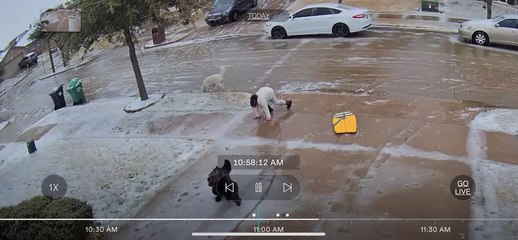 Dogs Slip on Ice and Knock Girl Over