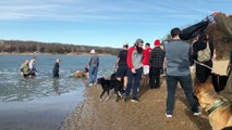 Stranger Rescues Dog After It Falls Through Ice on Frozen Lake