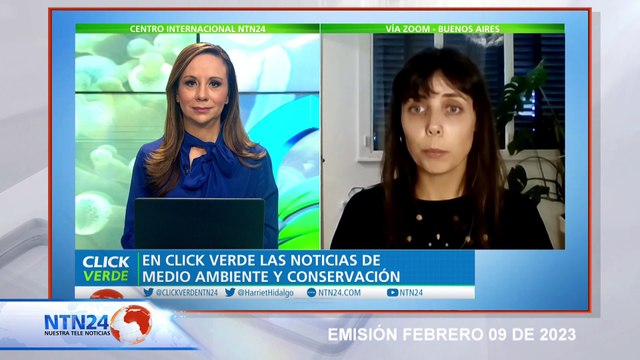 En marzo aprobarían tratado internacional de protección de océanos