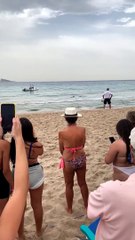 Shark Forces Beachgoers Out of the Water