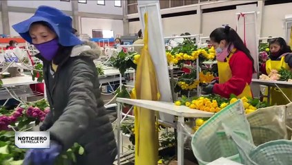 Flores Colombianas Para San Valentín