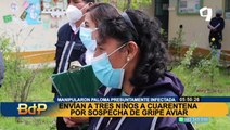Huancayo: niños que manipularon paloma presuntamente con gripe aviar no presentan síntomas