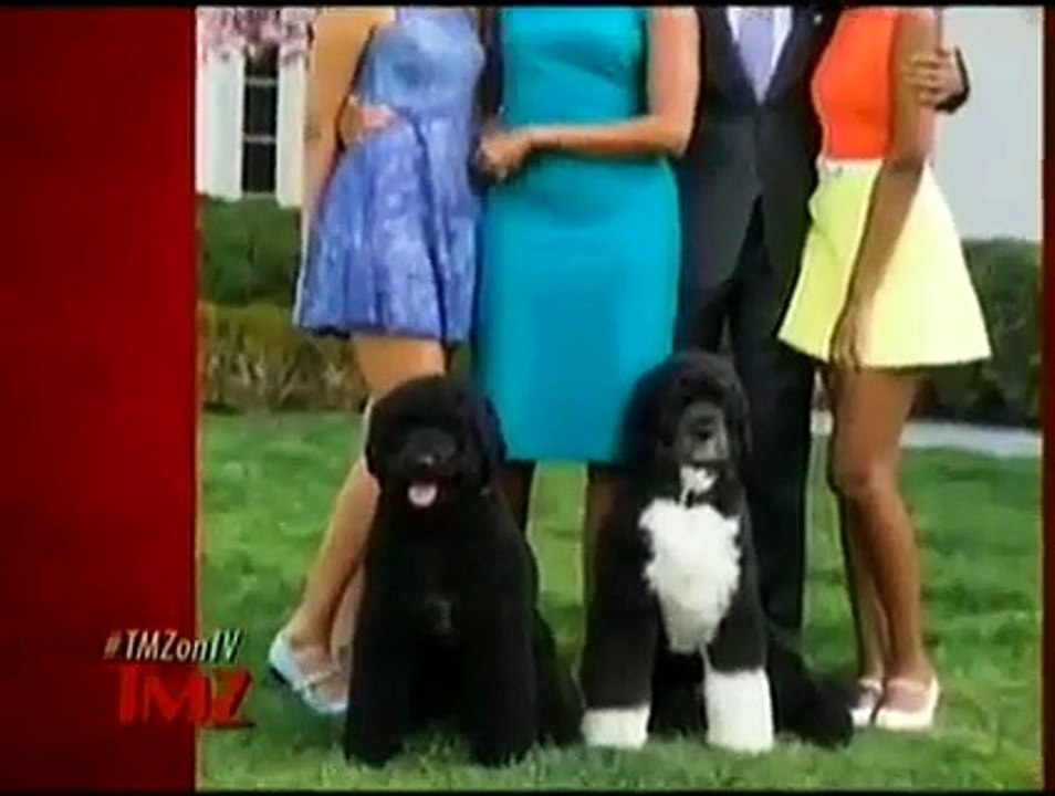 TMZ on TV - Se10 - Ep08 HD Watch