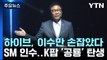 하이브, 이수만 손잡고 SM 인수...K팝 공룡 기획사 탄생 / YTN