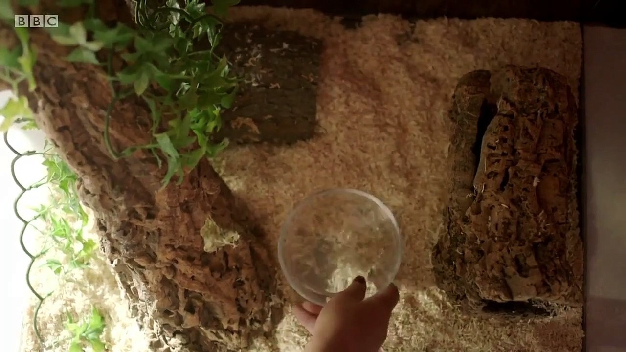 The Tuckers - Se1 - Ep04 HD Watch