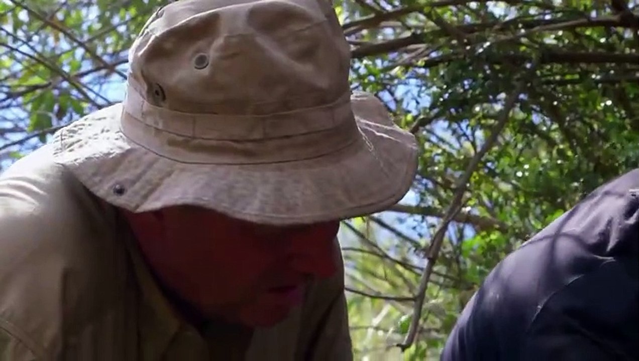 Treasure Quest - Snake Island - Se3 - Ep03 - Death Trap HD Watch