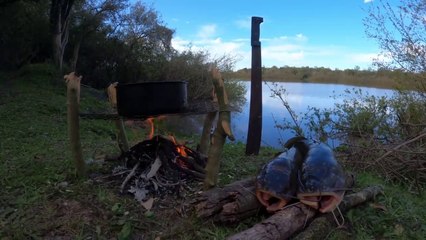 PESCA Y COCINA en hermosa laguna, Pescado Frito, Bagres Sapo, Fritanga y Supervivencia