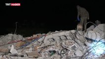 Mehmetçik arama-kurtarma köpekleriyle deprem bölgesinde