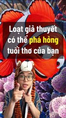 Loạt giả thuyết phim phá hỏng tuổi thơ của bạn | Điện Ảnh Net