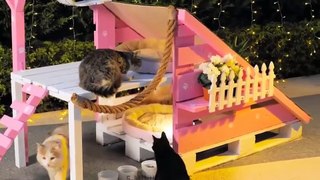 Home mad  | Diy cat house ||Best craft and gadgets for your pets