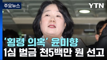'횡령 의혹' 윤미향 의원 1심 벌금형...'의원직 유지'에도 항소 / YTN