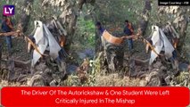 Chhattisgarh: Seven Schoolchildren Killed After Truck Collides With Autorickshaw In Kanker District